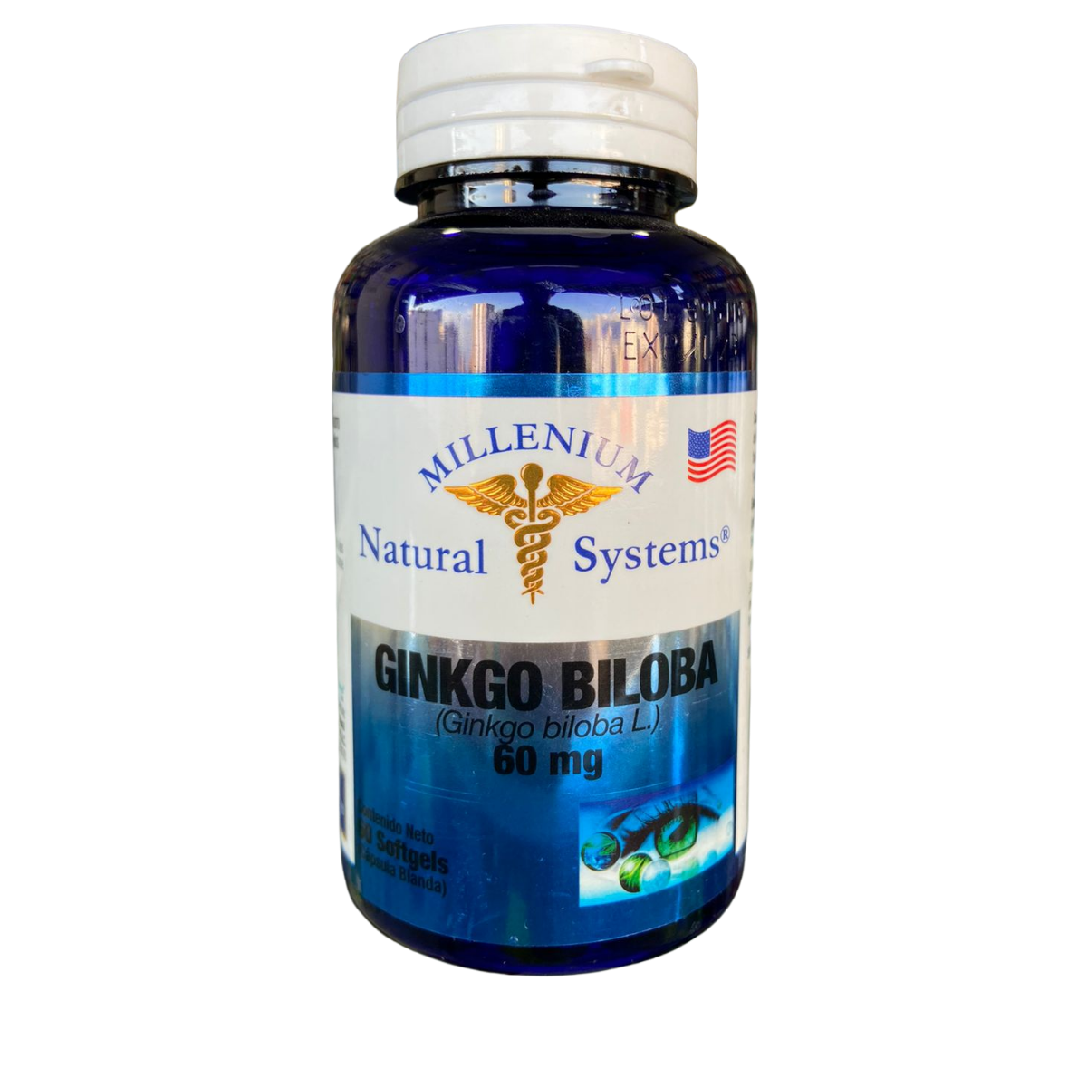 Ginkgo Biloba 60mg 60 Softgels Natural Systems