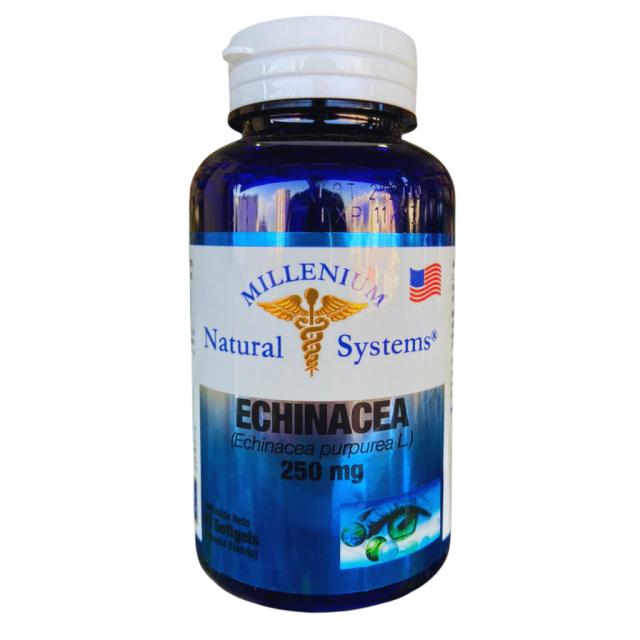 Echinacea 250mg 60 Cáps Natural Systems