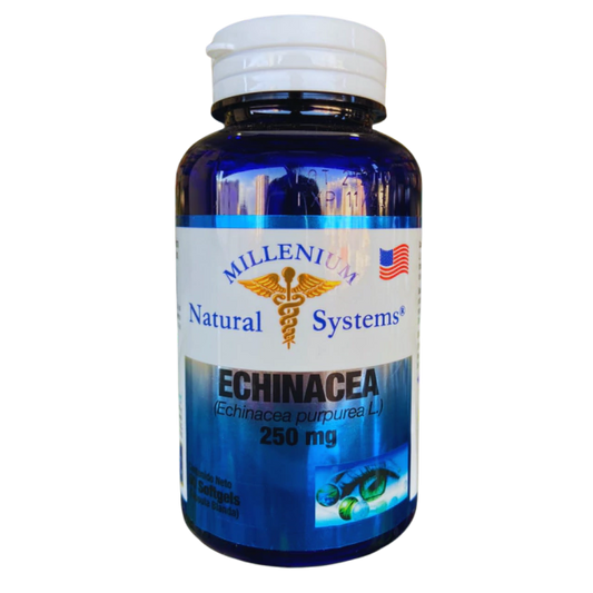 Echinacea 250mg 60 Cáps Natural Systems