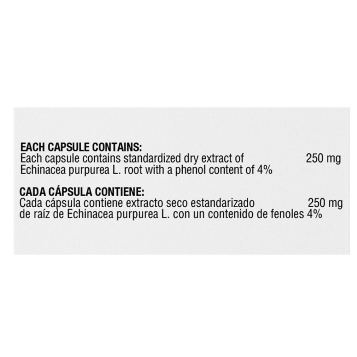Echinacea Purpurea 250 mg 100 Capsules Healthy America